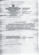 МО Кронверкское