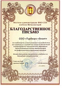 Муниципальный Округ Металлострой